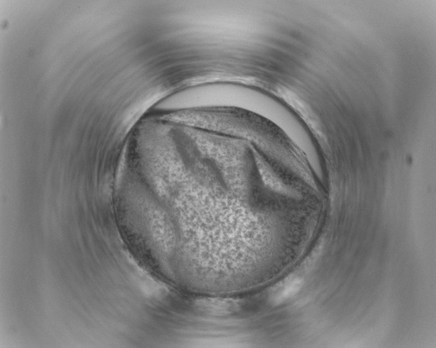 X0000089441185200707061401