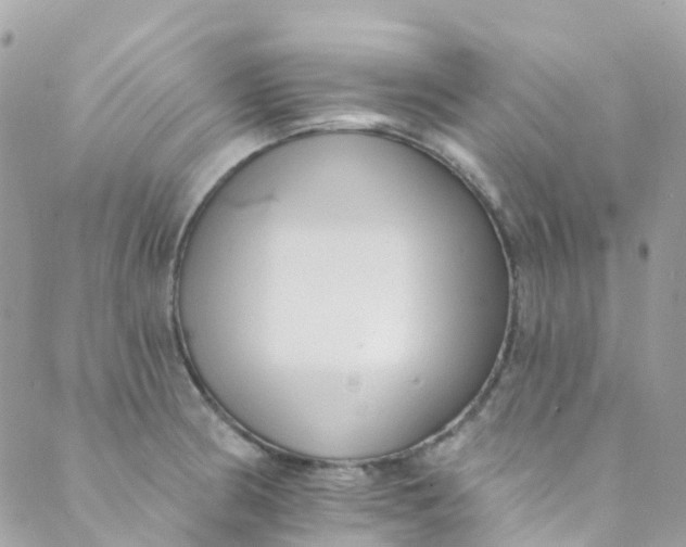 X0000089441186200707061401