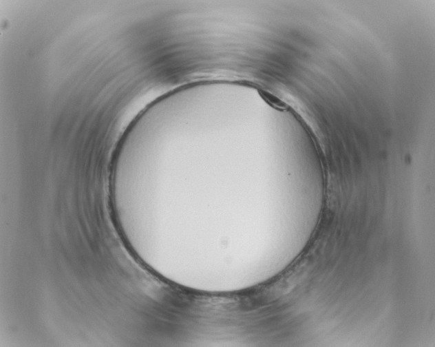 X0000089441187200707061401