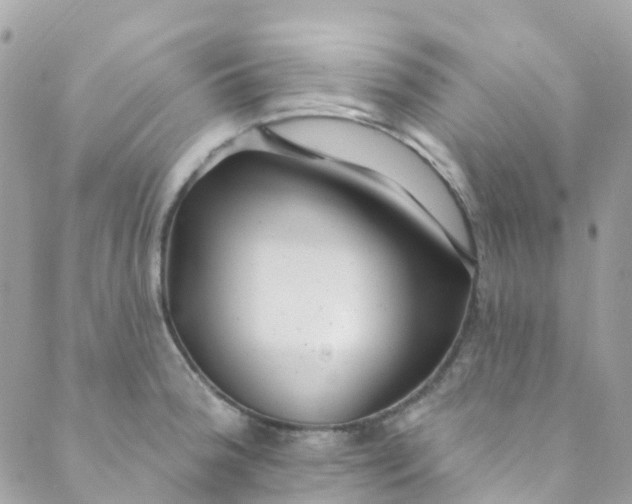 X0000089441188200707061401