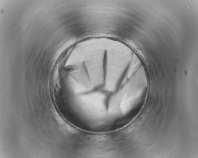 X0000089441189200707061401