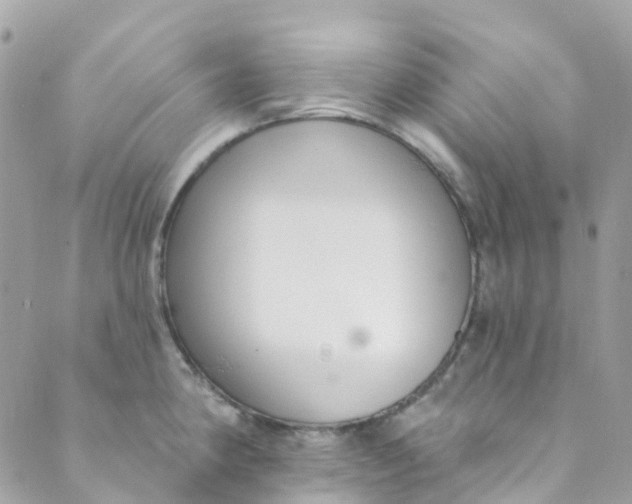 X0000089441190200707061401