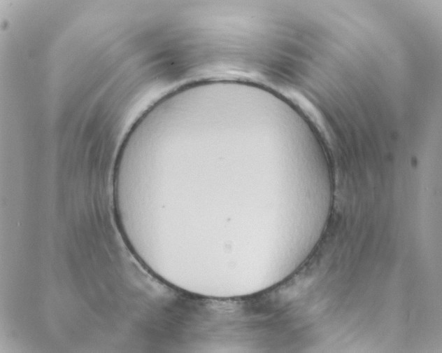 X0000089441191200707061401