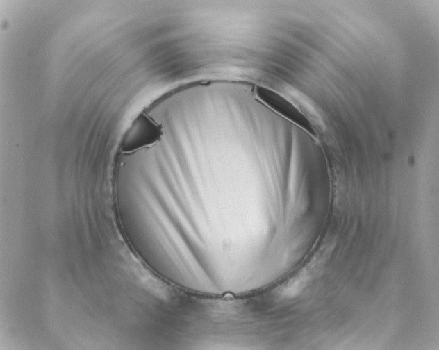 X0000089441192200707061401