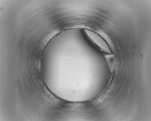 X0000089441193200707061401