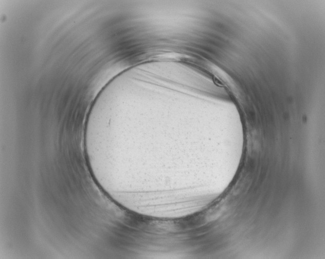 X0000089441194200707061401