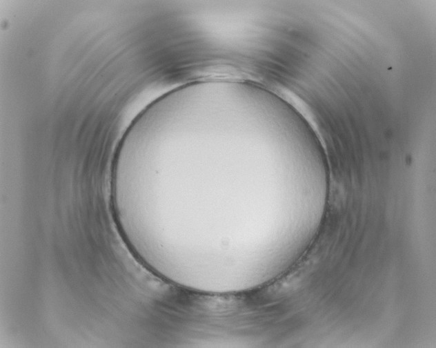 X0000089441195200707061401