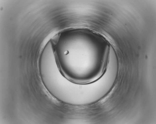 X0000089441196200707061401