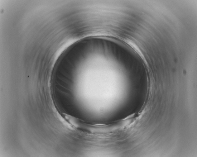 X0000089441197200707061401