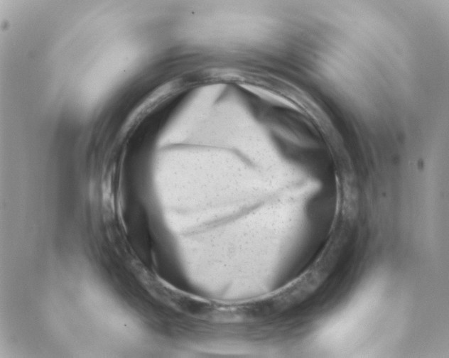 X0000089441198200707061401