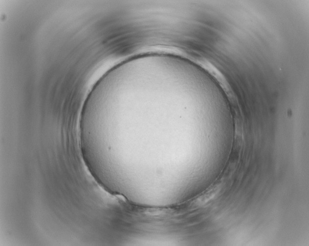 X0000089441199200707061400