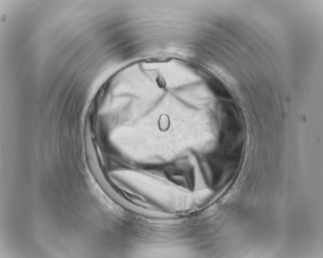 X0000089441200200707061400