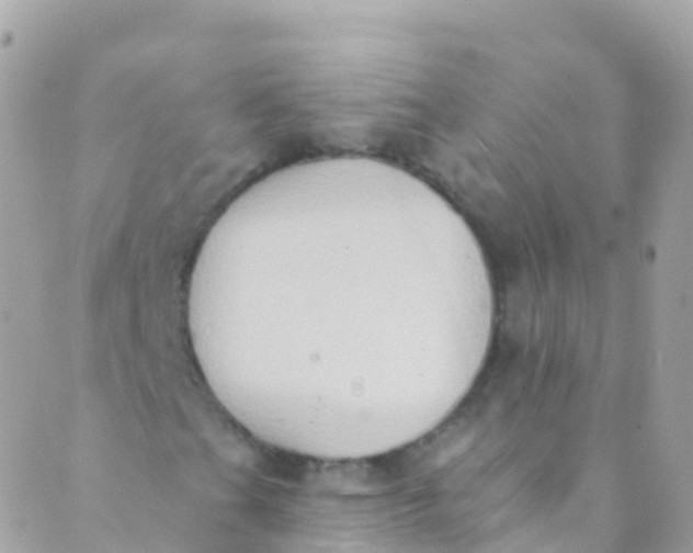 X0000089441201200707061400