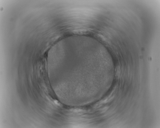 X0000089441202200707061400