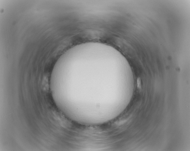 X0000089441203200707061400