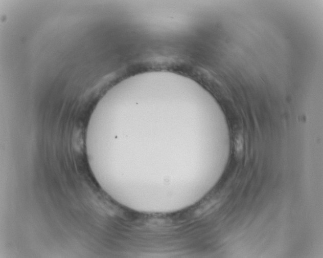 X0000089441204200707061400