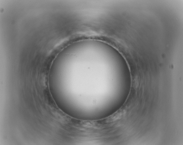 X0000089441205200707061400