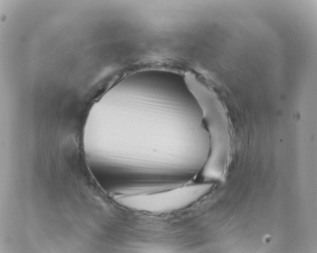 X0000089441206200707061400