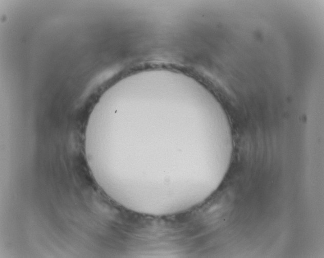 X0000089441207200707061400