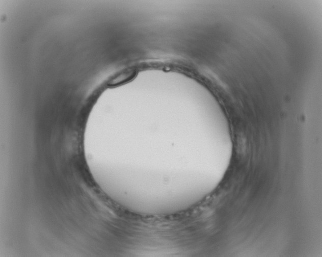 X0000089441208200707061400