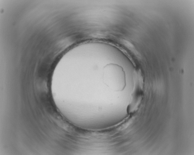 X0000089441209200707061400