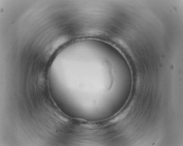 X0000089441210200707061400