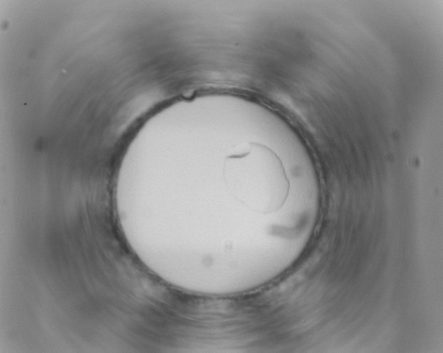 X0000089441211200707061400