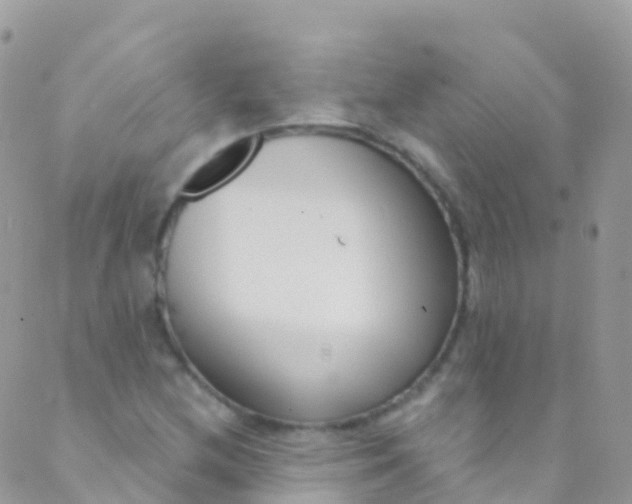 X0000089441212200707061400