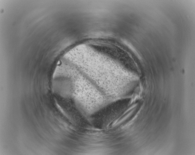 X0000089441213200707061400