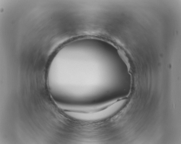 X0000089441214200707061400