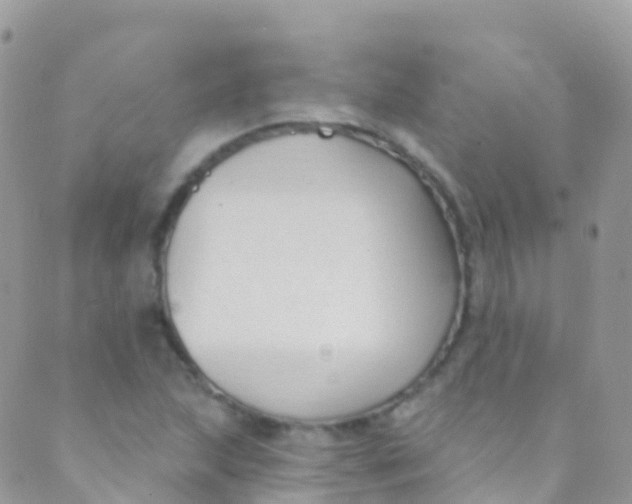 X0000089441215200707061400