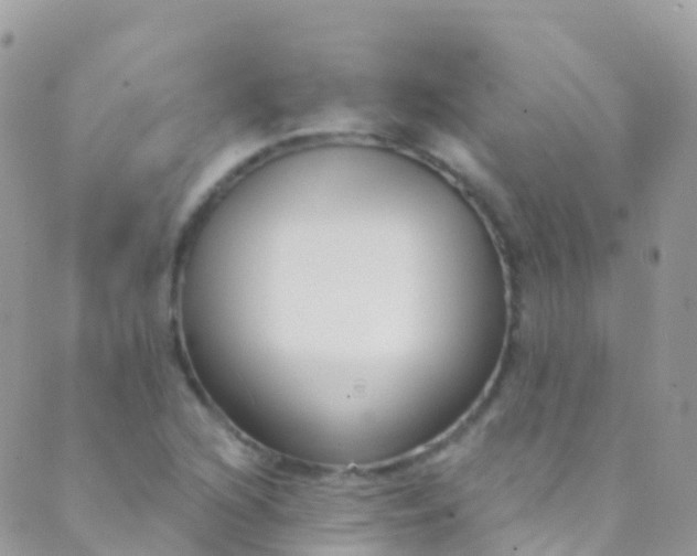 X0000089441216200707061400