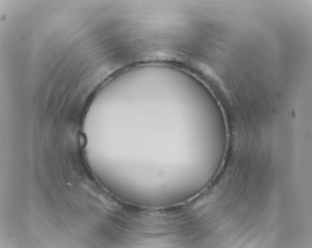 X0000089441217200707061400