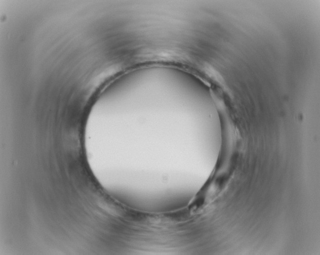 X0000089441218200707061400