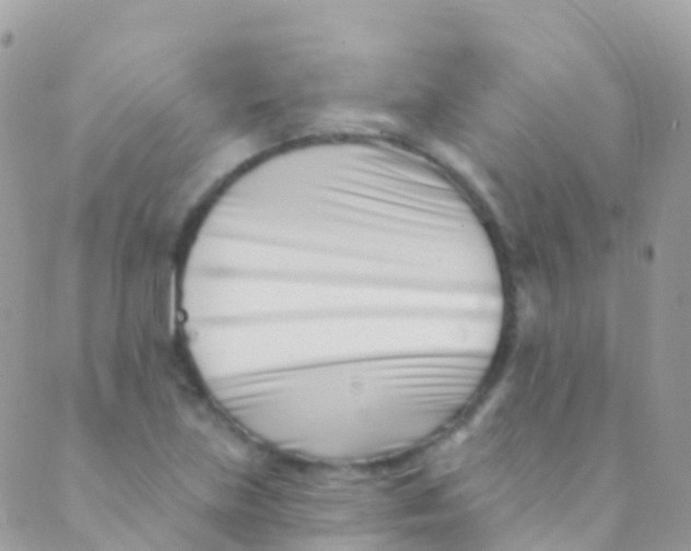 X0000089441219200707061400