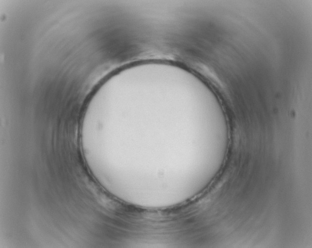 X0000089441220200707061400