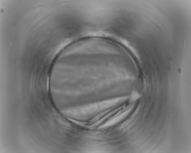 X0000089441221200707061400