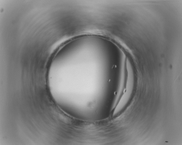 X0000089441222200707061400