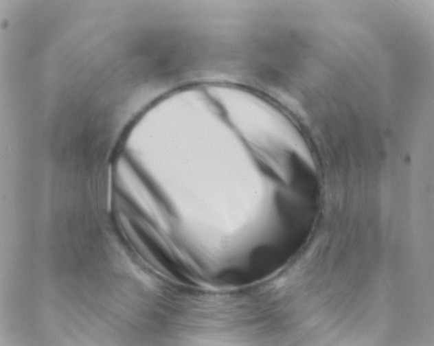 X0000089441223200707061400