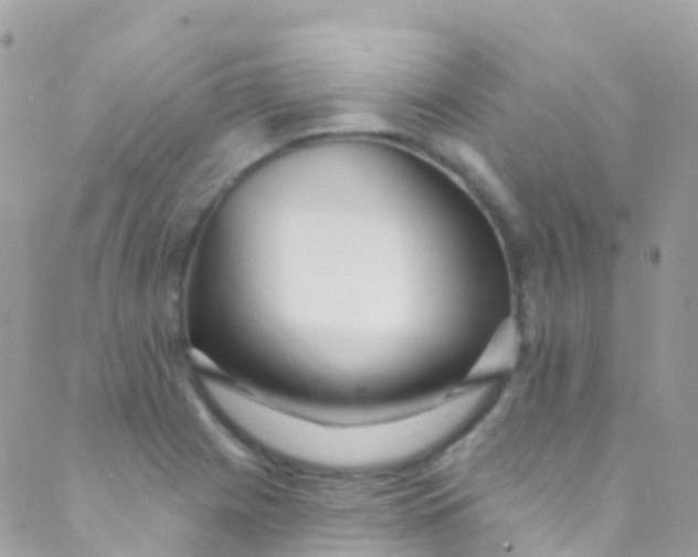 X0000089441225200707061400