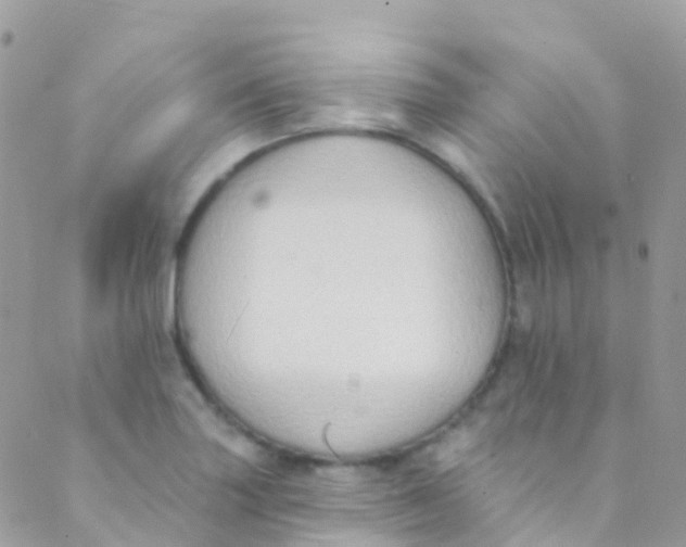 X0000089441227200707061400