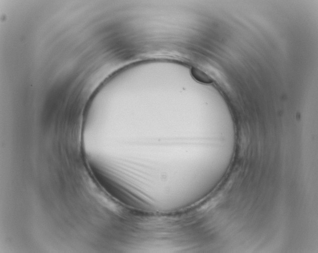 X0000089441228200707061400