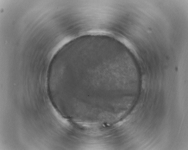 X0000089441229200707061400