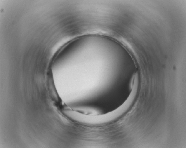 X0000089441230200707061400