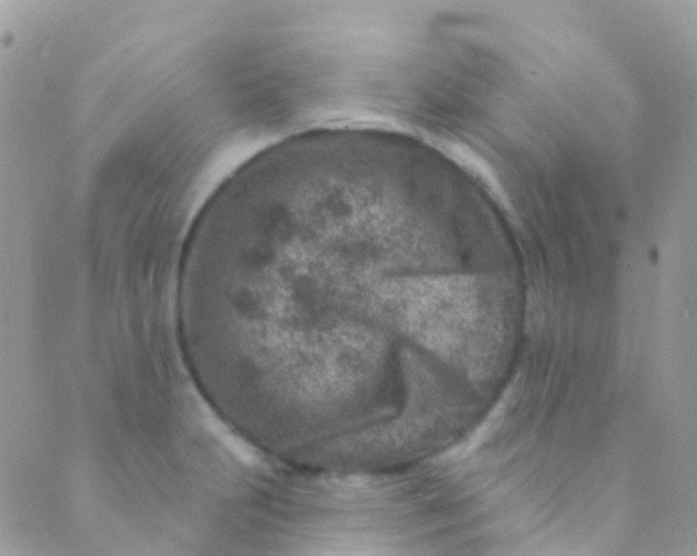 X0000089441231200707061400