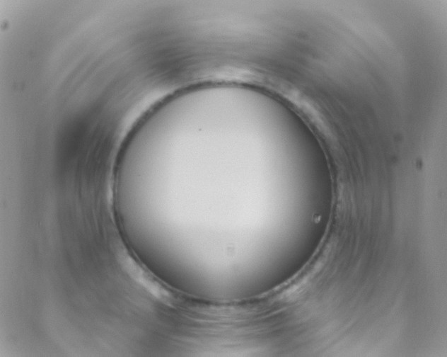 X0000089441232200707061400