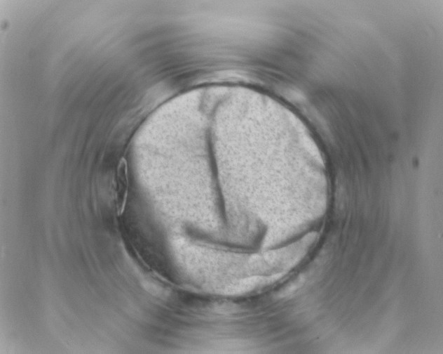 X0000089441233200707061400