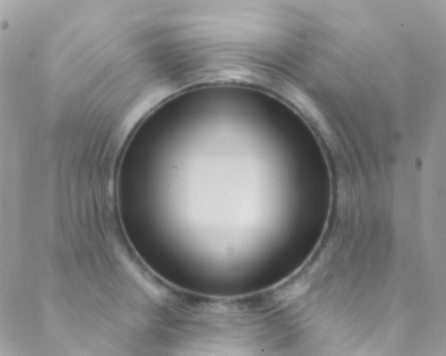 X0000089441234200707061400