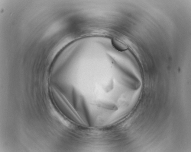 X0000089441235200707061400