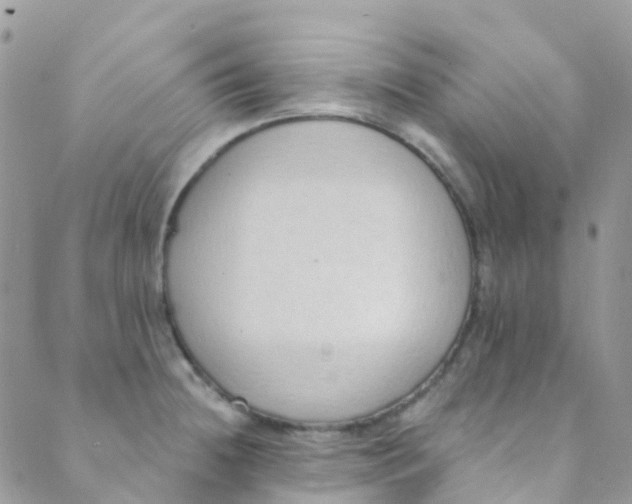 X0000089441236200707061400